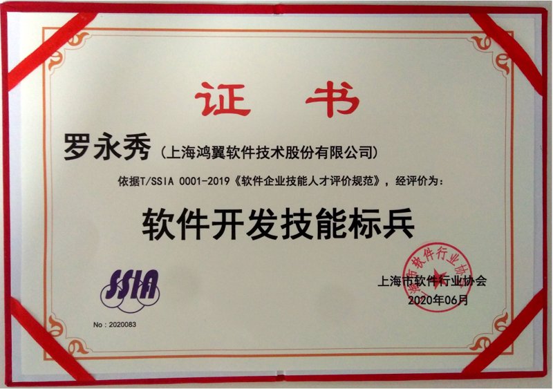 上海软件开发产业的创新与突破