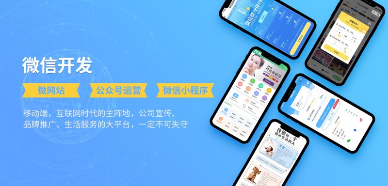 上海软件开发选购指南：选择适合您的服务